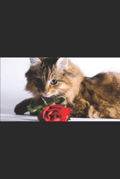 Paperback Valentine Cat Book