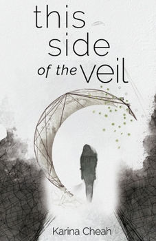 Paperback This Side of the Veil Book