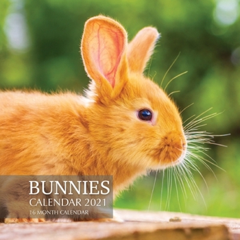 Paperback Bunnies Calendar 2021: 16 Month Calendar Book