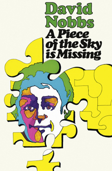 Paperback A Piece of the Sky is Missing Book