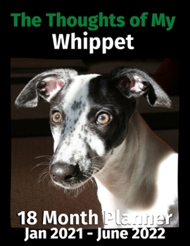 Paperback The Thoughts of My Whippet: 18 Month Planner Jan 2021-June 2022 Book