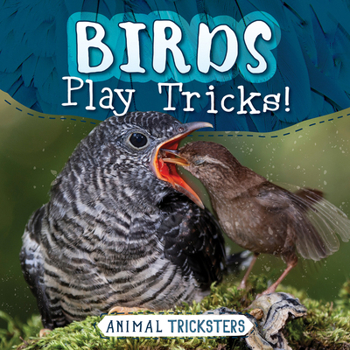 Paperback Birds Play Tricks! Book