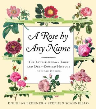 Hardcover A Rose by Any Name Book