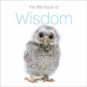 Paperback The Little Book of Wisdom Book