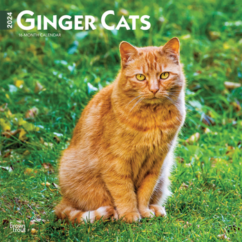 Calendar Ginger Cats 2024 Square Book