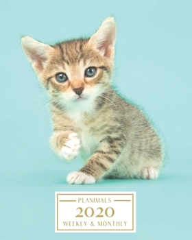 Paperback 2020: Weekly and Monthly Planner/Calendar Jan 2020 - Dec 2020 Cute Kitten Book