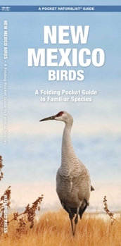 New Mexico Birds: A Folding Pocket Guide to Familiar Species
