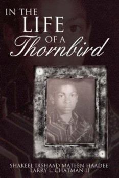 Paperback In The Life of a Thornbird Book