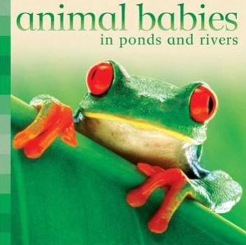 Animal Babies in Ponds and Rivers (Animal Babies) - Book  of the Animal Babies