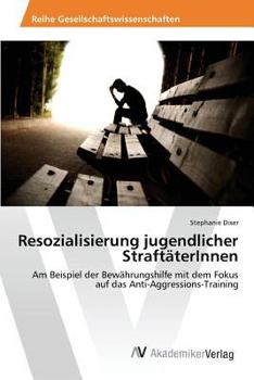 Paperback Resozialisierung jugendlicher StraftäterInnen [German] Book