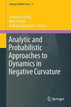 Hardcover Analytic and Probabilistic Approaches to Dynamics in Negative Curvature Book