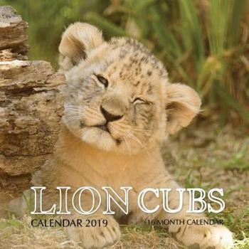 Paperback Lion Cubs Calendar 2019: 16 Month Calendar Book