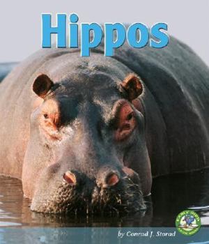 Library Binding Hippos Book