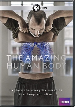 DVD The Amazing Human Body Book