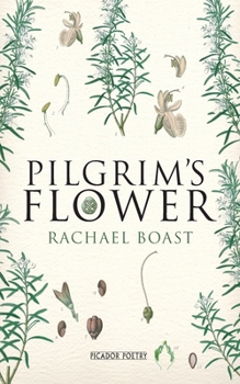 Paperback Pilgrim's Flower Book