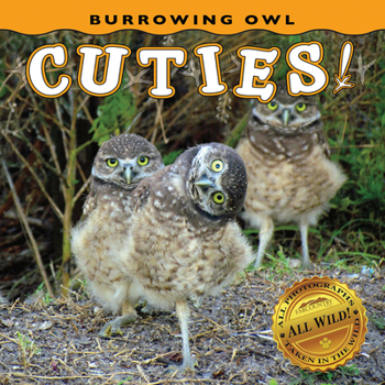 Board book Burrowing Owl Cuties! Book