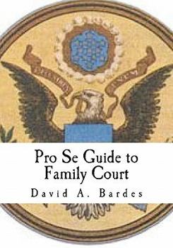 Paperback Pro Se Guide to Family Court Book