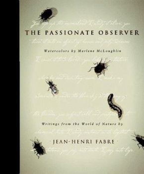Hardcover Passionate Observer Book