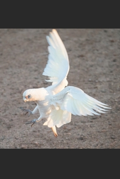 Nacktaugenkakadu: Notizbuch / Tagebuch Kakadu - DIN A5 120 Seiten liniert - Papagei Geschenke Vogelbeobachtung