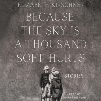 Audio CD Because the Sky Is a Thousand Soft Hurts Book