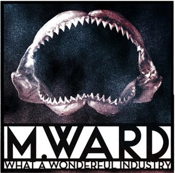 Vinyl What A Wonderful Industry Book