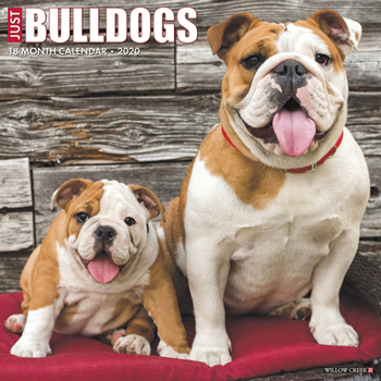 Calendar Just Bulldogs 2020 Wall Calendar (Dog Breed Calendar) Book