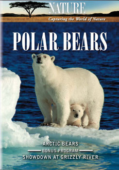 DVD Nature: Polar Bears Book