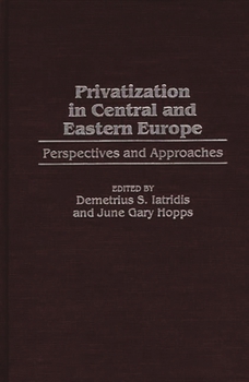 Hardcover Privatization in Central and Eastern Europe: Perspectives and Approaches Book