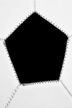 2020 Daily Planner Soccer Player Coach Team Sports Fan 388 Pages: 2020 Planners Calendars Organizers Datebooks Appointment Books Agendas