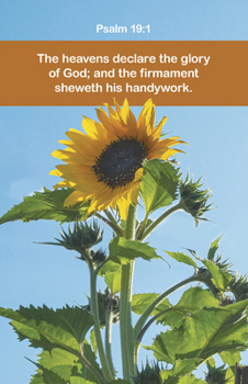General Worship Bulletin: Declare (Package of 100): Psalm 19:1 (Kjv)
