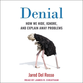 MP3 CD Denial: How We Hide, Ignore, and Explain Away Problems Book