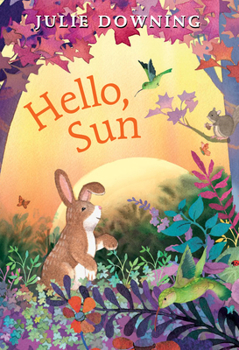 Hardcover Hello, Sun Book