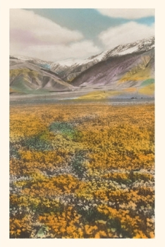 Paperback Vintage Journal California Poppies Book