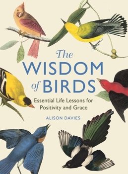 Hardcover The Wisdom of Birds: Essential Life Lessons for Positivity and Grace Book