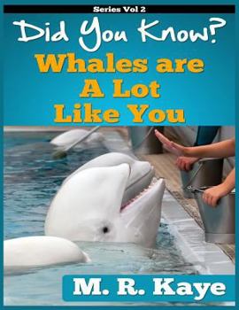 Paperback Did You Know? Whales Are A Lot Like You Book