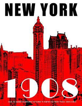 Paperback New York 1908 Book