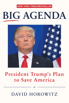 Hardcover Big Agenda: President Trump's Plan to Save America Book