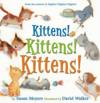 Hardcover Kittens! Kittens! Kittens! Book