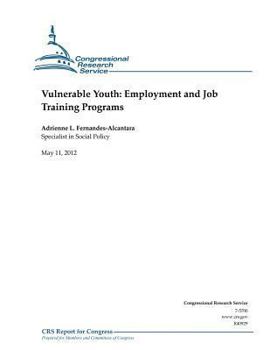 Paperback Vulnerable Youth: Employment and Job Training Programs Book