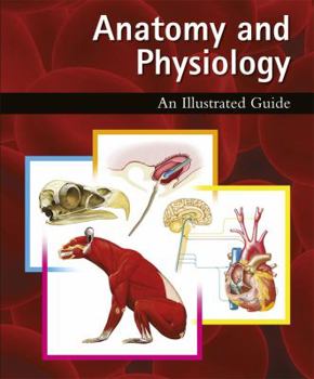 Hardcover Anatomy and Physiology: An Illustrated Guide Book