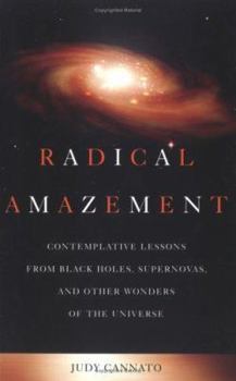 Paperback Radical Amazement Book