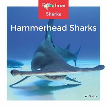 Hammerhead Sharks - Book  of the Zoom in on Sharks