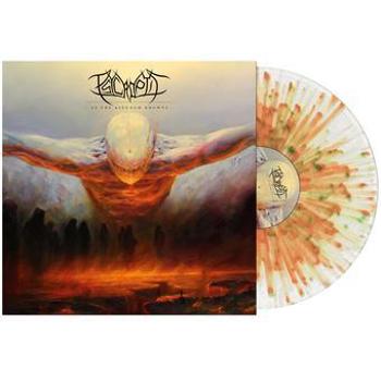 Vinyl As The Kingdom Drowns Book