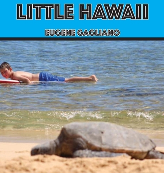 Hardcover Little Hawaii Book