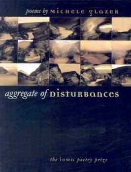 Paperback Aggregate of Disturbances Book
