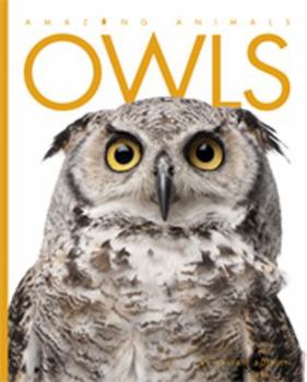 Paperback Owls Book