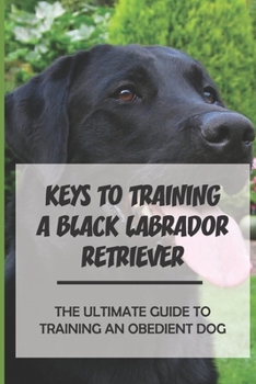 Keys To Training A Black Labrador Retriever: The Ultimate Guide To Training An Obedient Dog: How To Leash Train Your Black Labrador Retriever