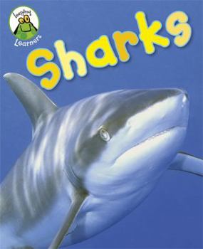 Paperback Sharks (Leapfrog Learners) Book