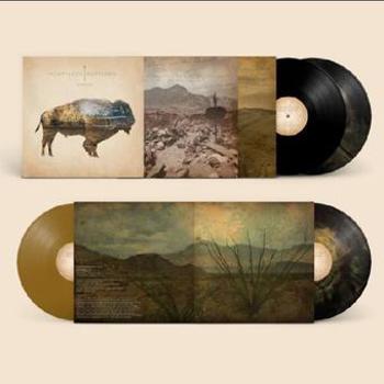 Vinyl Arrow (10 Th Anniversary) (Black & Gold V Book