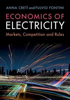 Paperback Economics of Electricity: Markets, Competition and Rules Book